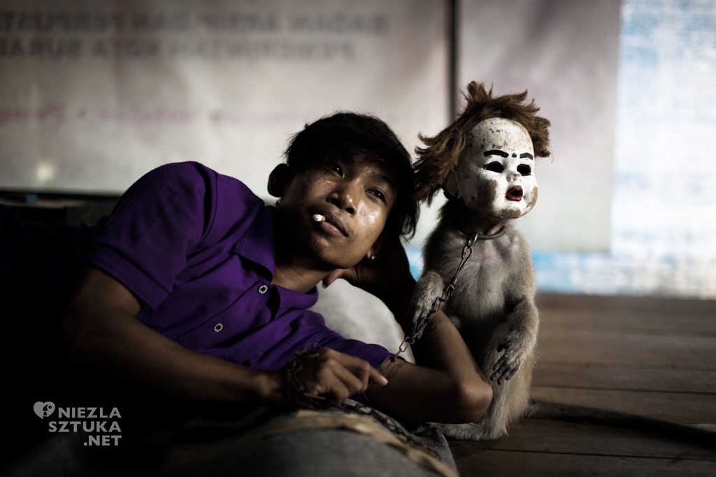 Artur Gutowski Indonezja małpi cyrk fotografia