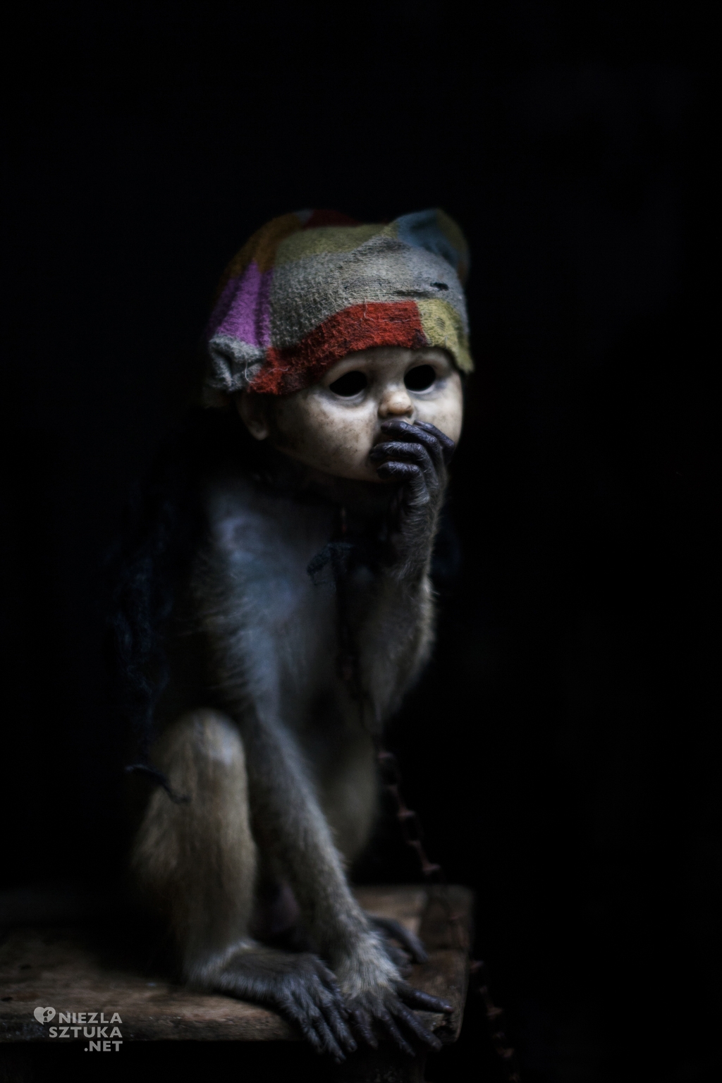 Artur Gutowski Indonezja małpi cyrk