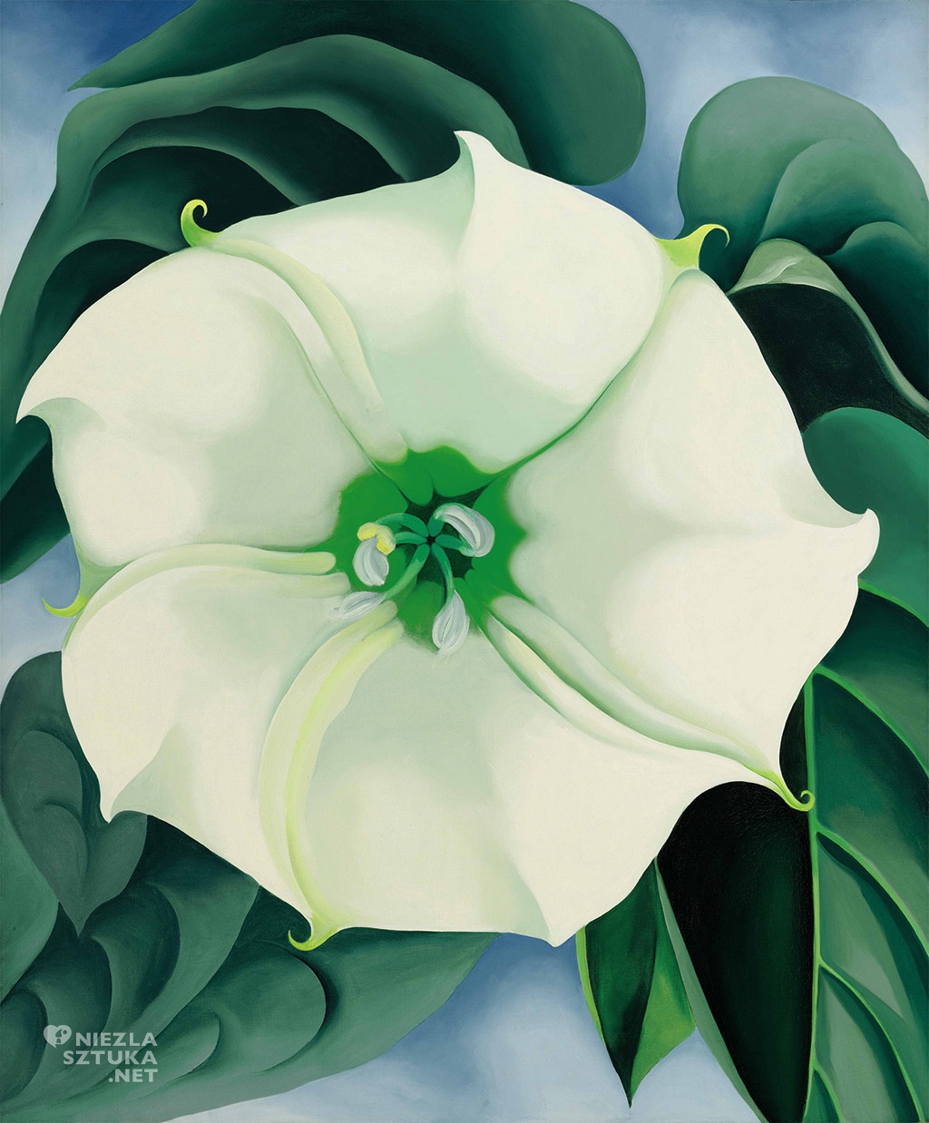 Georgia O'Keeffe <em>Jimson Weed</em> | 1936, fot. Georgia O'Keeffe Museum