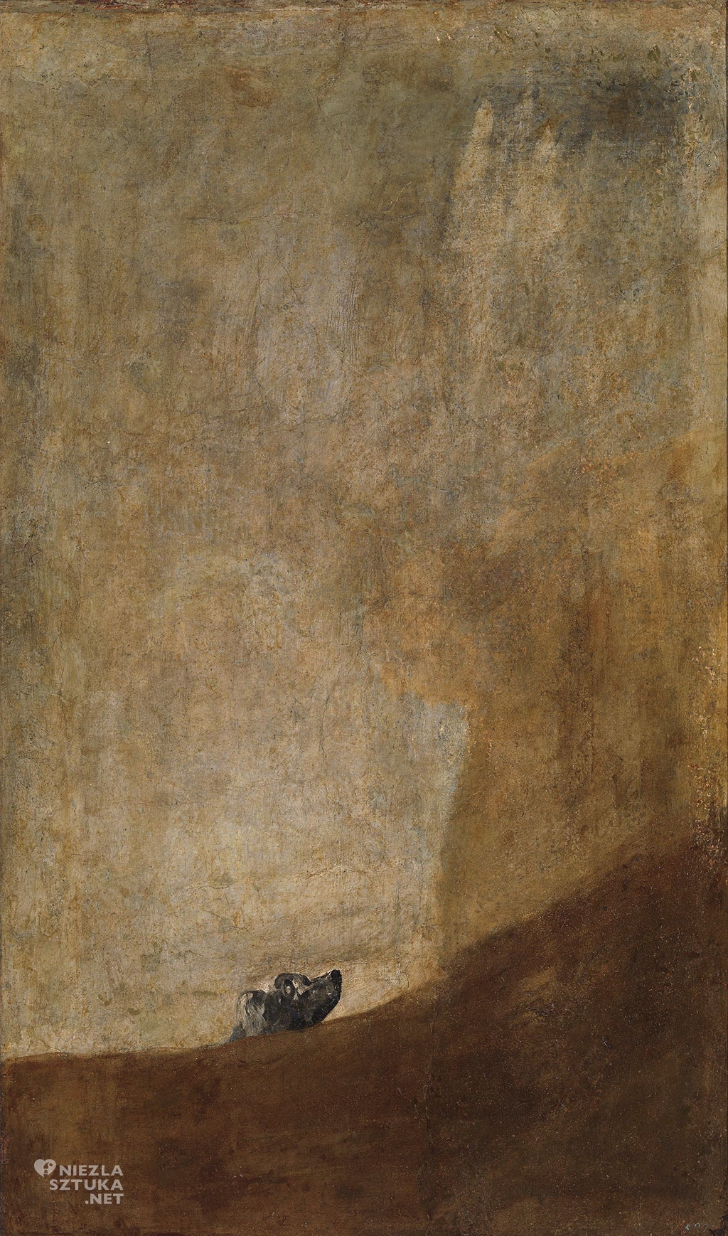 Goya Pies | Rok